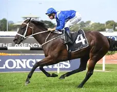 Winx winning at Randwick